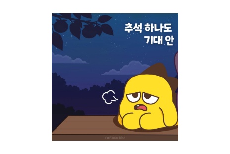 리스트 이미지
